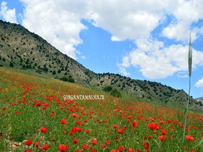 سفر به گرگان در عید نوروز